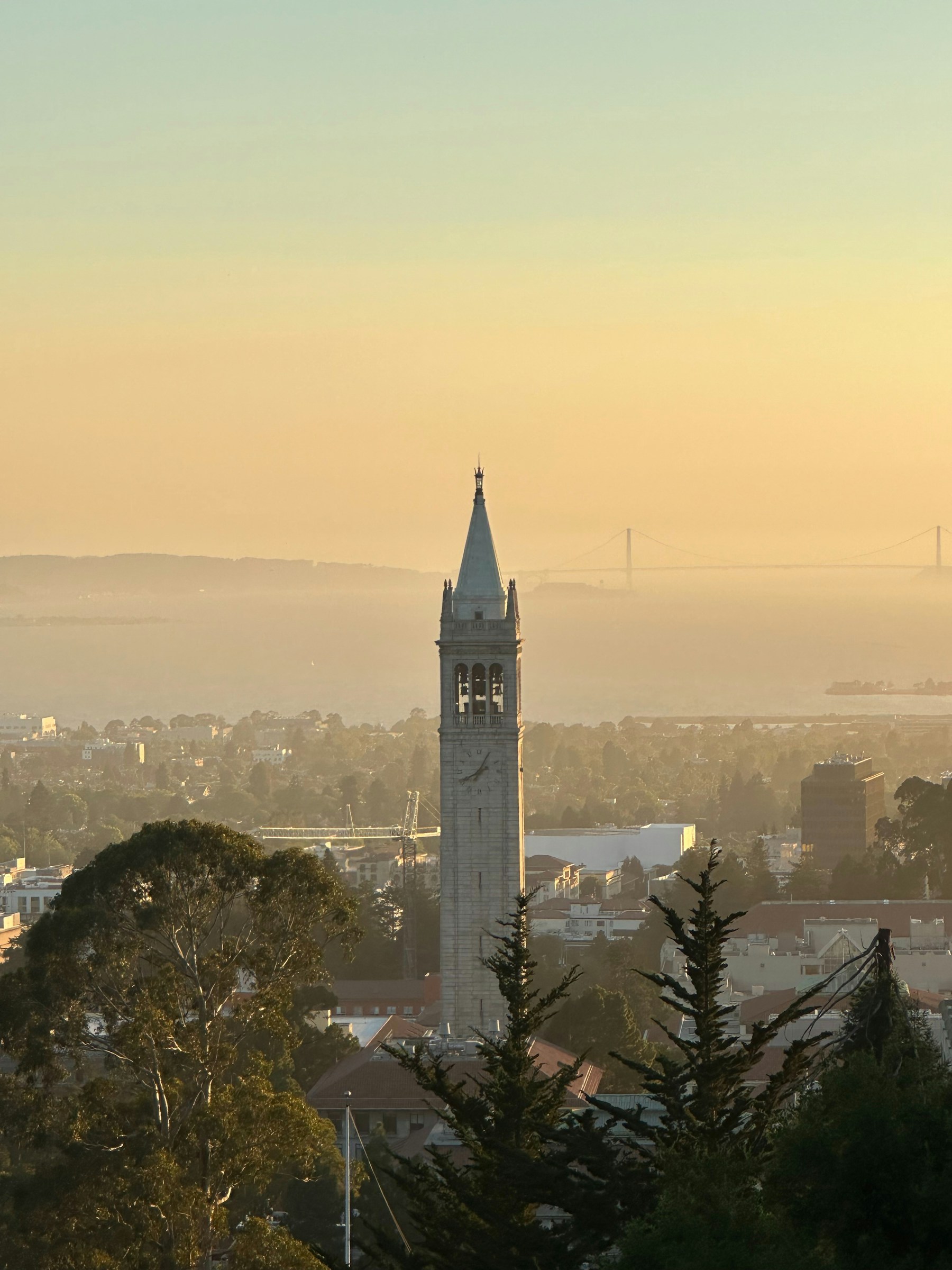 The Campanile above the bay at golden hour