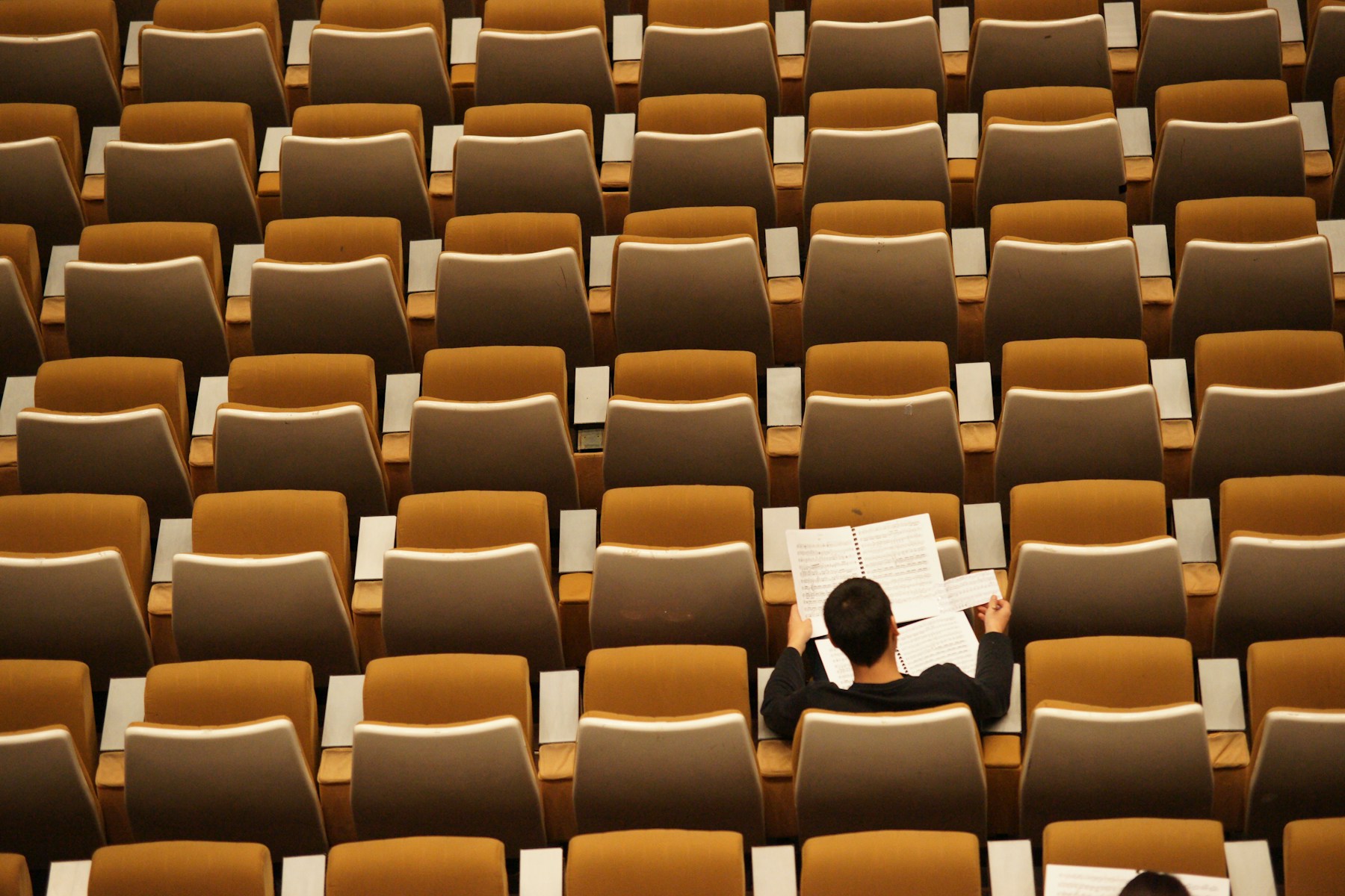 A student reading alone in a lecture hall