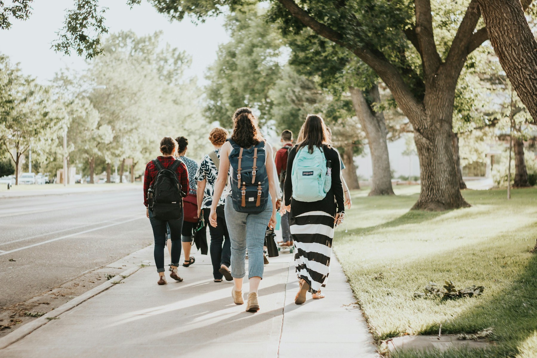 Students walking to class along a tree-lined path
